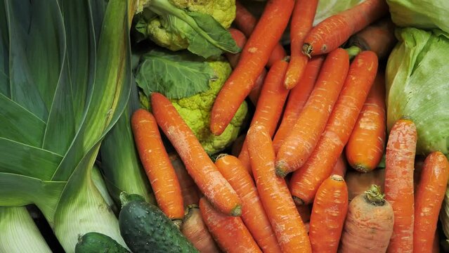 Fresh vegetables: carrots, cucumbers, cauliflower, leeks