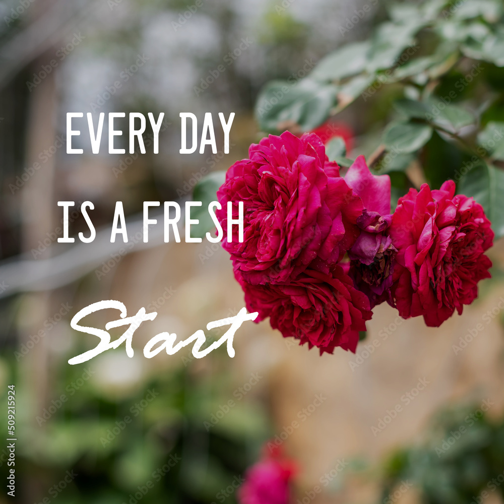 Wall mural motivational and inspirational quotes - every day is a fresh start