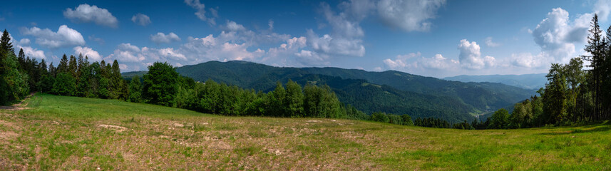 Panorama ze szlaku Opidza - Eliaszowka na Radziejową