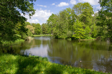 Beautiful lake in the park surrounded by spring greenery