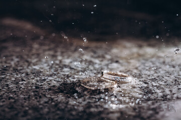 water drops on blue background, wedding rings