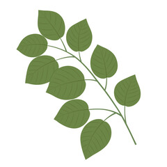 Naklejka na ściany i meble vector graphic illustration with a green plant branch