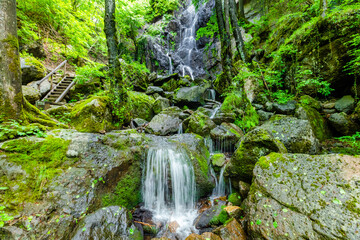 waterfall in the forest