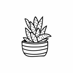 Cactus doodle illustration in vector. Cactus  hand drawn illustration. Pot plant doodle illustration