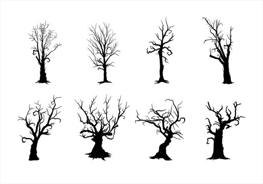 Scary, Creepy Tree Silhouette Collection