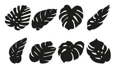 Silhouette of monstera leaves. Vector illustration in flat style © Sviatlana