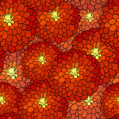 Pattern with red dahlia. Common zinnia flower - obrazy, fototapety, plakaty