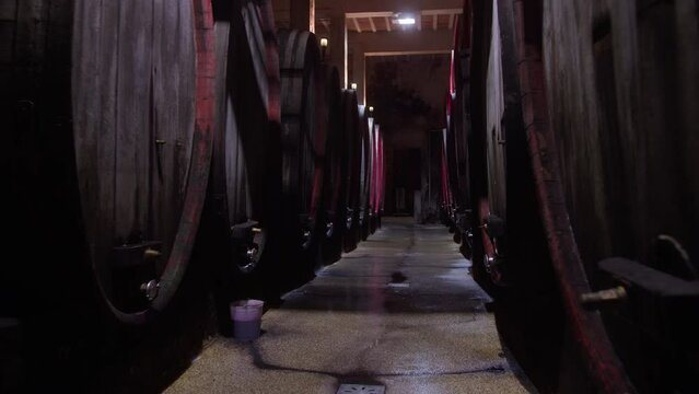 Passage between long rows of old oak wine barrels with spigots and cask chimes colored in red, handheld shot.