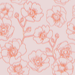 Fototapeta na wymiar Boho vintage pattern with dog rose. Double line blooming wild rose on beige background