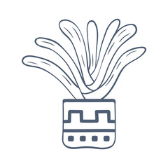 Hand drawn succulent in flowerpot illustration
