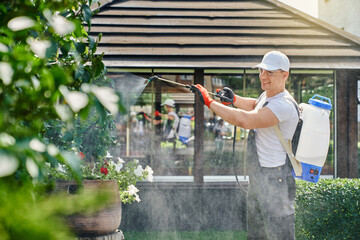 Competent gardner in protective clothes, hat, glasses and gloves using pulverizer for spraying green plants with chemicals. Caucasian man taking care of beautiful garden during summer season. - obrazy, fototapety, plakaty