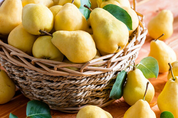 Basket with ripe juicy yellow pears close-up