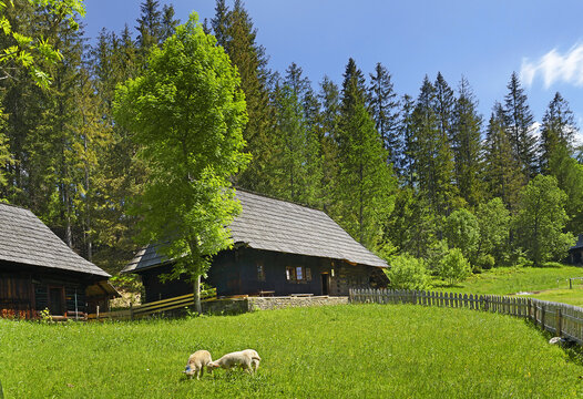 Buildings of folk architecture in the natural environment of the Orava Village Museum of Zuberec, Slovakia