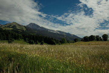 Le plateau du Vercors et la Grande Moucherolle au dessus de Villard De Lans
