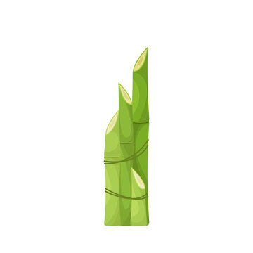 green bamboo stalks tied together clip art preview