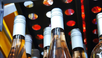 Close-up of many beautiful white wine bottles on the showcase