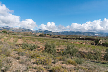 farmland in the south of Granada