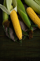 Overhead view of fresh corn cob on wood copy space food