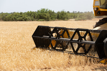 Combine harvester harvesting barley fields.Agricultural machinery