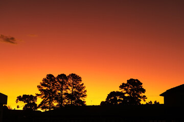 Fototapeta premium Sunset with a very orange sky, characteristic of the moment, and at the base of the image the silhouette of trees and houses. 