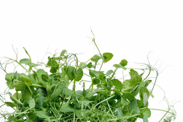 Soft selective focus of green microgreen pea sprouts on a white background. The concept of vegan and healthy eating. Germination of seeds at home. Healthy eating or diet. Copy space.