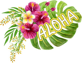 Aloha Hawaii greeting. Hand drawn watercolor painting with Chinese Hibiscus rose flowers and palm leave isolated on white background. Tropical floral summer ornament. Design element.