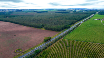 planting rows of eucalyptus and soy trees on a farm in Brazil, São Paulo. Aerial view