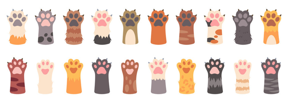 Cat paws set, collection of various cute kitten legs, domestic animal foot. Different funny pet paws