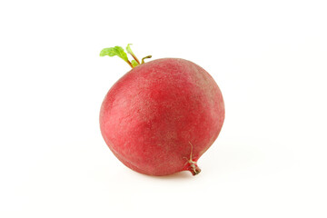 One whole red radish isolated on white background.
