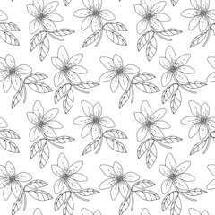 Botanical seamless pattern. Magnolia flowers on branches with leaves. Hand drawn black and white print. Vector