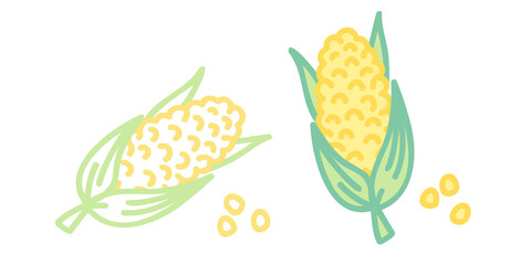 Vector set icons of corns. Vector illustration of corn. Hand drawing vegetables.