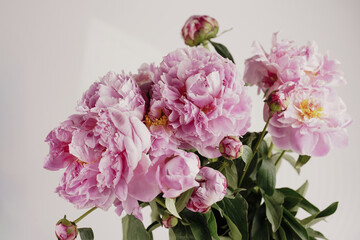 Fototapeta premium Bouquet of Pink Peonies closeup on white background, vintage color correction