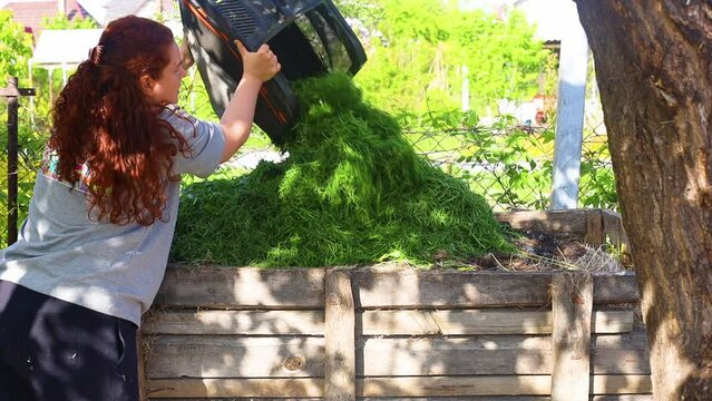 Redheaded woman dumping freshly cut grass from container into compost pit. Mulch and organic fertilizer in gardening. Ecologically friendly environment, tidying up and maintenance of territory.