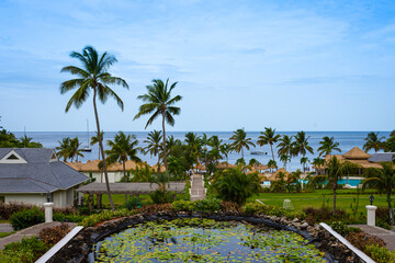 Caribbean Sea beach and palm trees