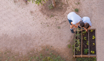 Vista aérea de dos niños irreconocibles, en el jardín del colegio, cuidando del huerto. Fotografía horizontal con espacio para texto. - obrazy, fototapety, plakaty