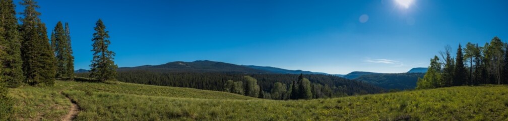 Fototapeta na wymiar Late afternoon path through the mountain forest meadow