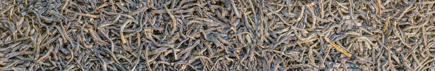 Panoramic view of dried tea. Background texture of dry tea leaves.