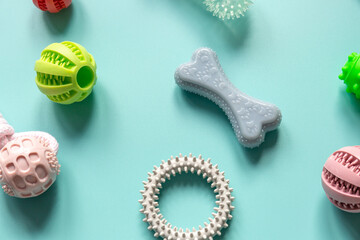 close up rubber balls, rings for pets. Multicolored balls for dogs and bone snacks on a blue background. Toys, balls, bones, for playing and training
