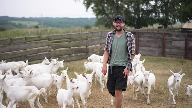 Joyful young farmer walking in slow motion in paddock outdoors with goats following man. Positive handsome Caucasian man strolling on ranch with farm animals smiling