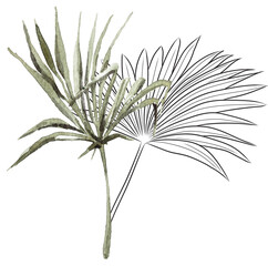 Watercolor tropical clipart and line art. Composition with tropical leaves, pink flowers on white background. Can be used for greeting cards, wedding invitations, textile, fabric, poster, print.