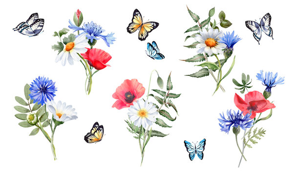 Meadow flower and butterfly. Daisy, poppies, cornflower, greenery and branches bouquets. Watercolor illustration for greeting cards, poster, scrapbooking, wedding invitation, summer home decor