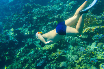 Man snorkeling underwater by coral reef in the Red sea, Egypt