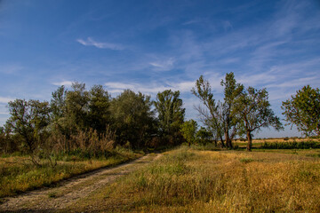 Fototapeta na wymiar l summer landscape of aragon spain on a warm sunny day road and trees