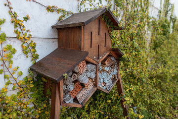 Wooden insect house in the garden with greenery. Save the bee. Ecology, life and balance