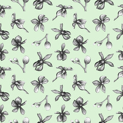 Seamless pattern of orchids on a green background. Floral pattern in pastel colors. Pattern with Orchid flowers for the design of postcards, paper, textiles.