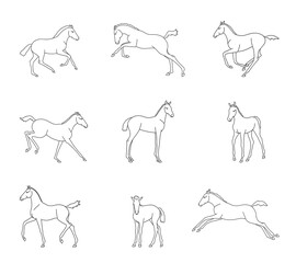 Collection of fools, different phases of movement