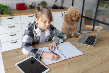 Teenager boy doing homework with a cute brown dog near him, watching laptop. Concept of back to school, study lessons and learning at home. Pet care