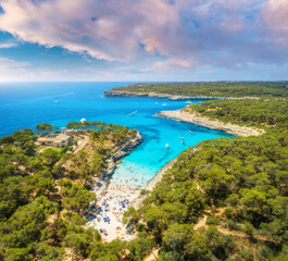 Fototapeta na wymiar Aerial view of sandy beach with colorful umbrellas, green forest, swimming people in sea bay with clear blue water, sky at sunrise in summer. Travel. Mallorca, Balearic islands, Spain. Top view