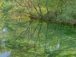Source of the river Cetina near Sinj in Croatia
