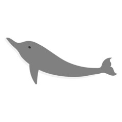 dolphin icon design template vector illustration